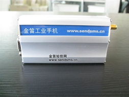 金笛Wavecom M1206B GSM/GPRS短信猫组装实战 串口通信与移动无线通信产品的深度解析